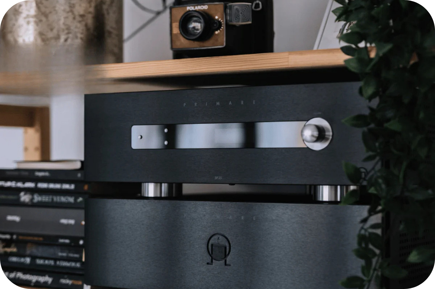 Integrated Amplifier vs AV Receiver: Which Do You Actually Need?