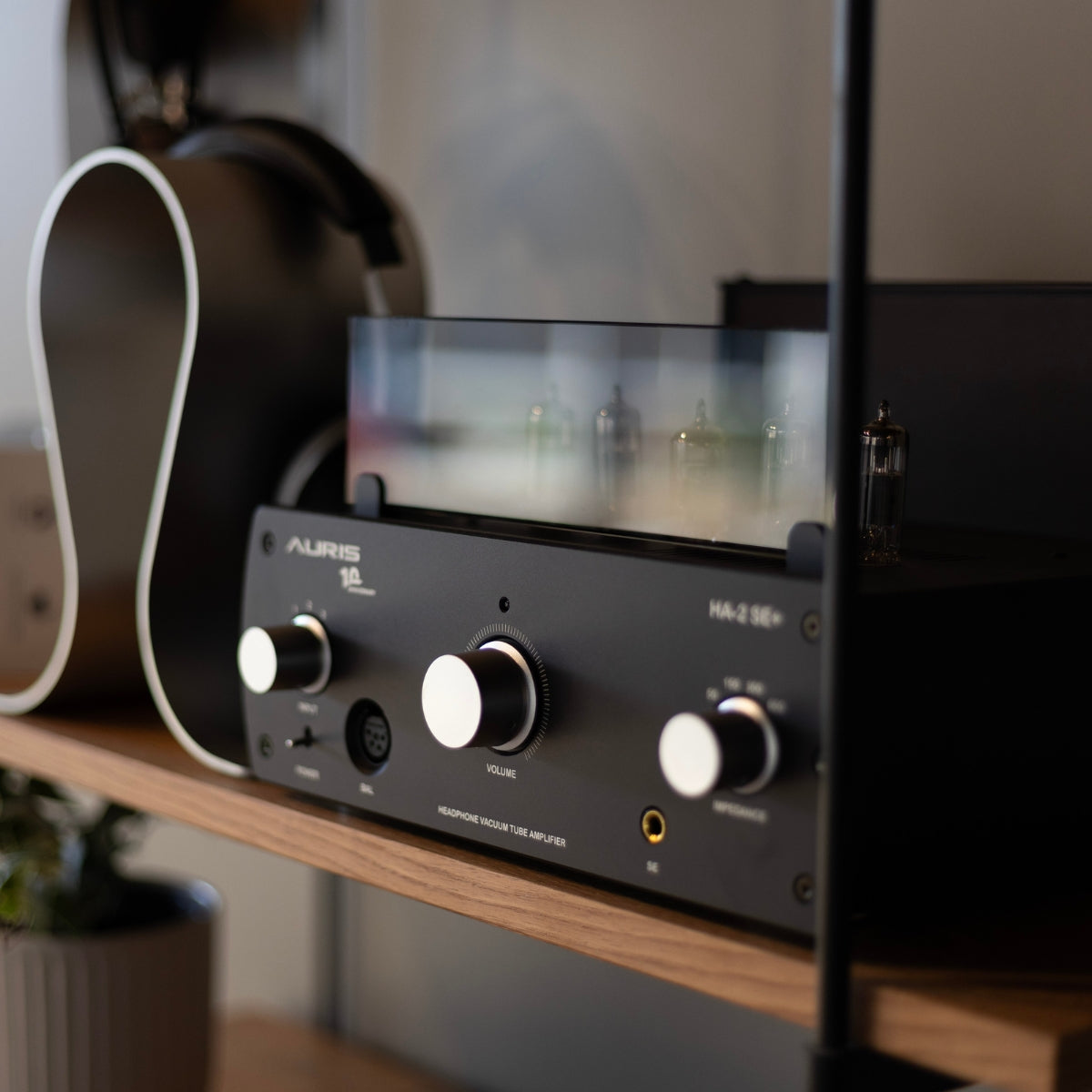 Auris HA-2SE+ Tube Headphone Amplifier