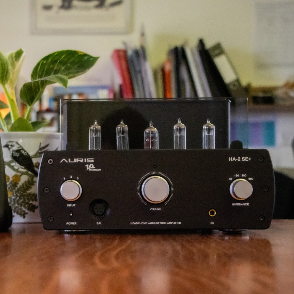 Auris HA-2SE+ Tube Headphone Amplifier