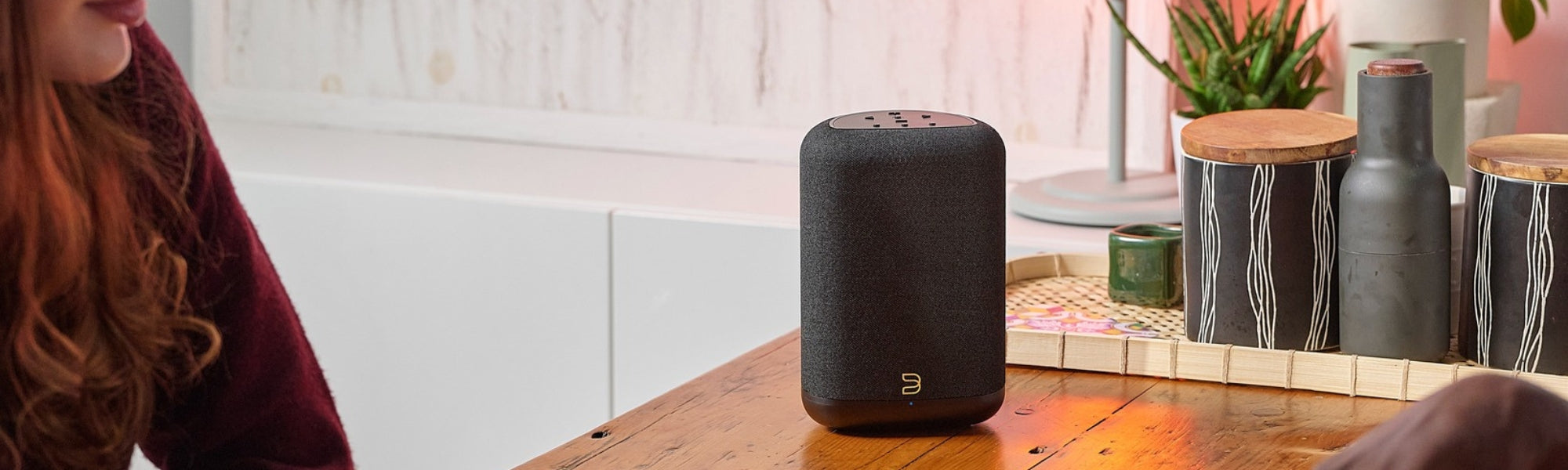 Bluesound Pulse Flex Wireless All-In-One Music Streaming Speaker