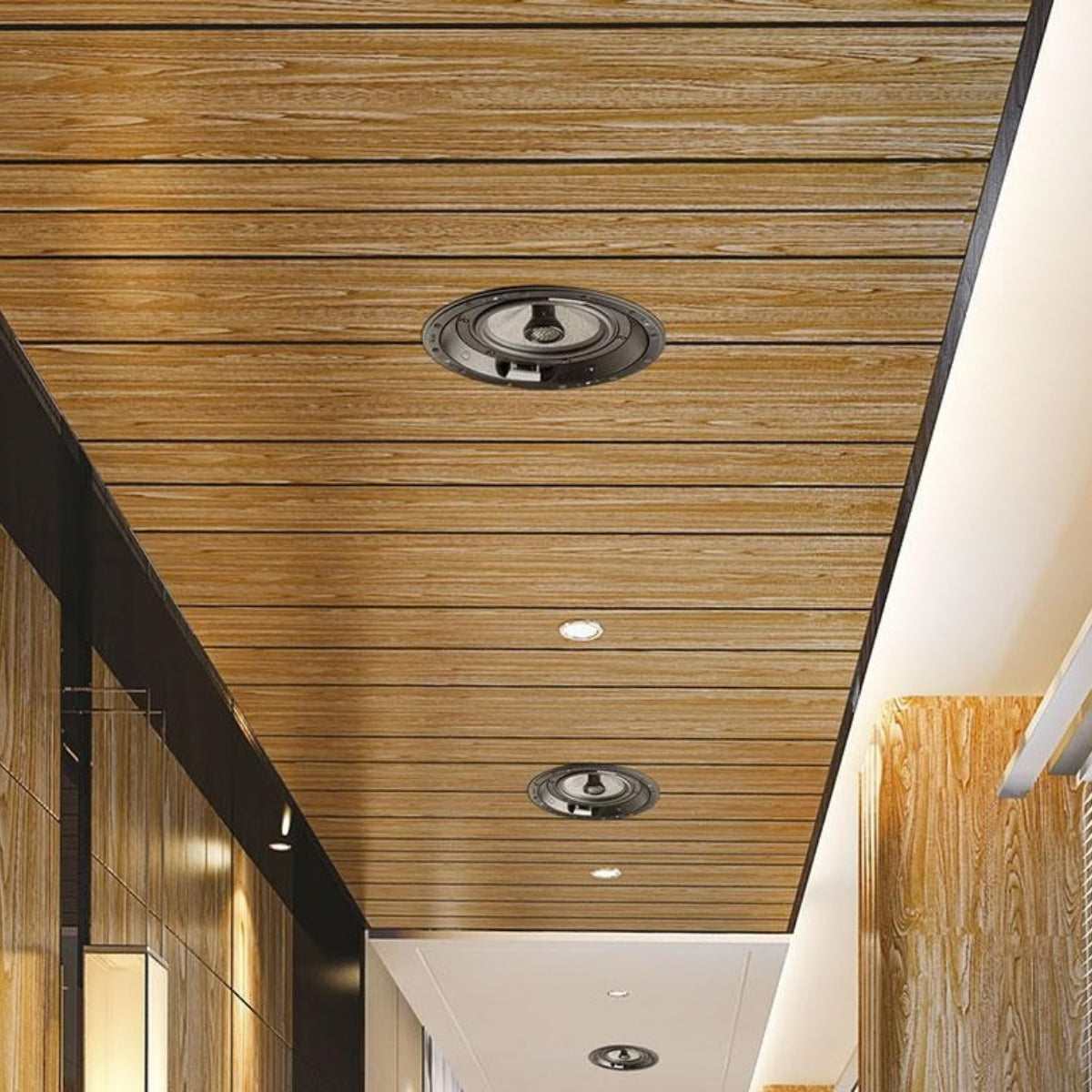 Focal Ci1000 ICW6 Musicality and Power Handling In-Wall Loudspeakers