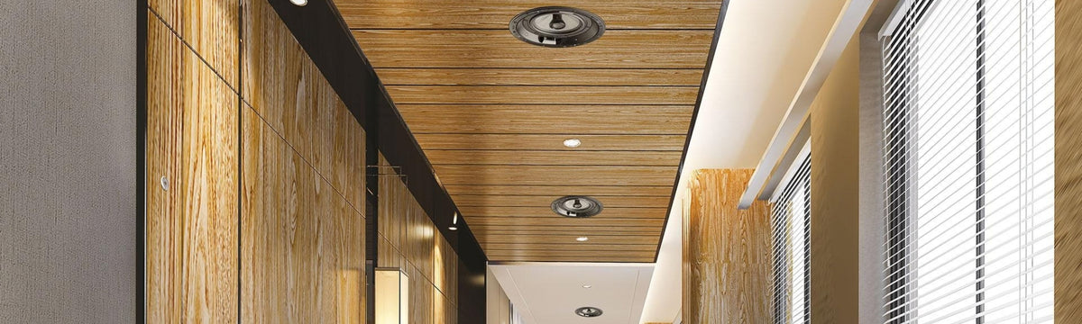Focal Ci1000 ICW6 Musicality and Power Handling In-Wall Loudspeakers