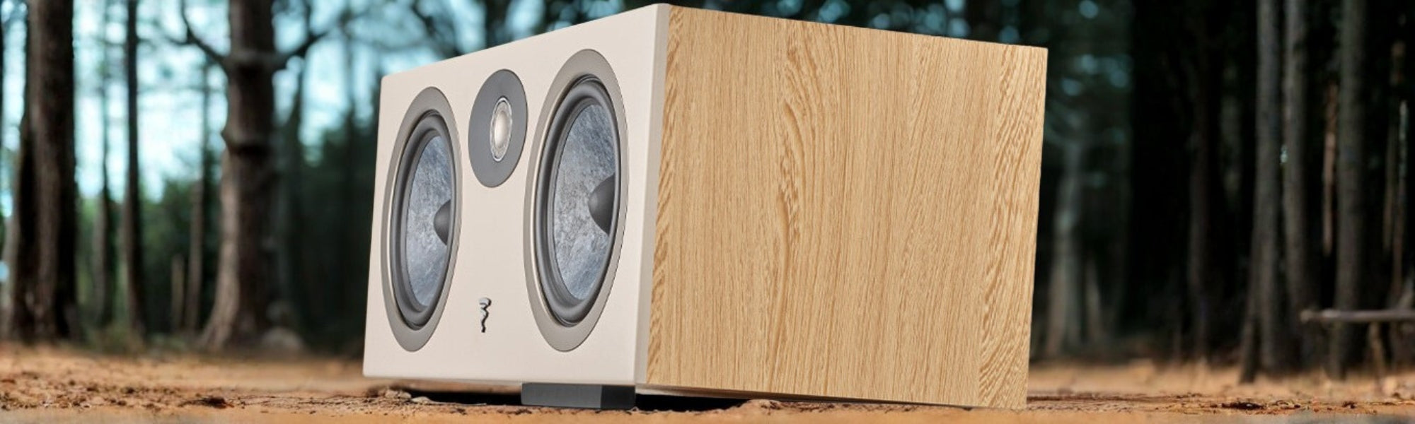 Focal Theva Centre Speaker