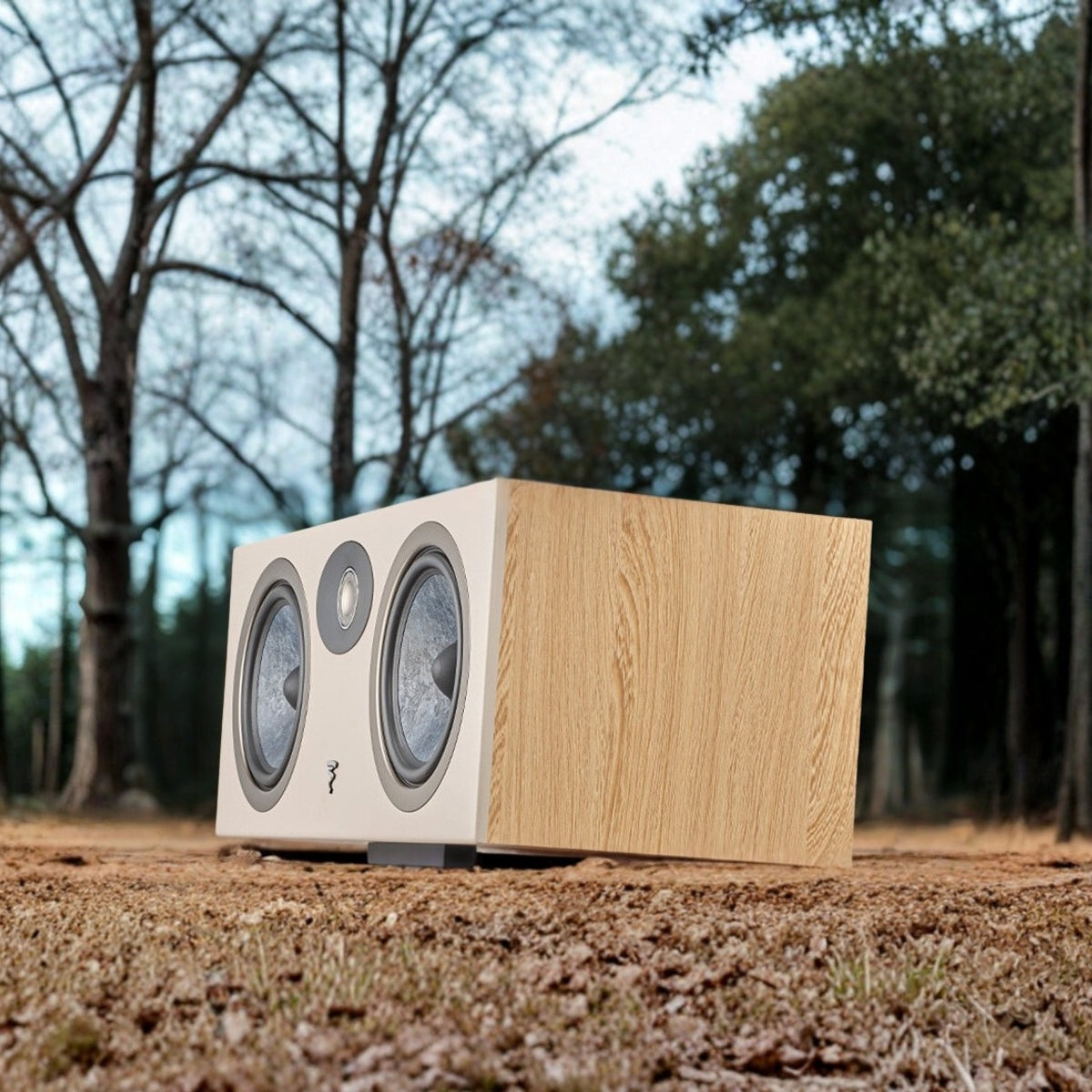 Focal Theva Centre Speaker