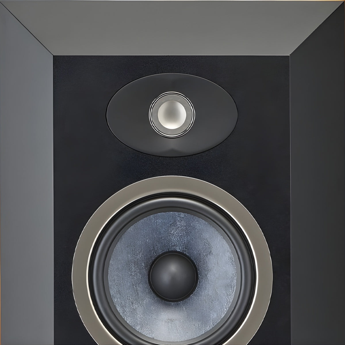 Focal Theva Surround Speaker