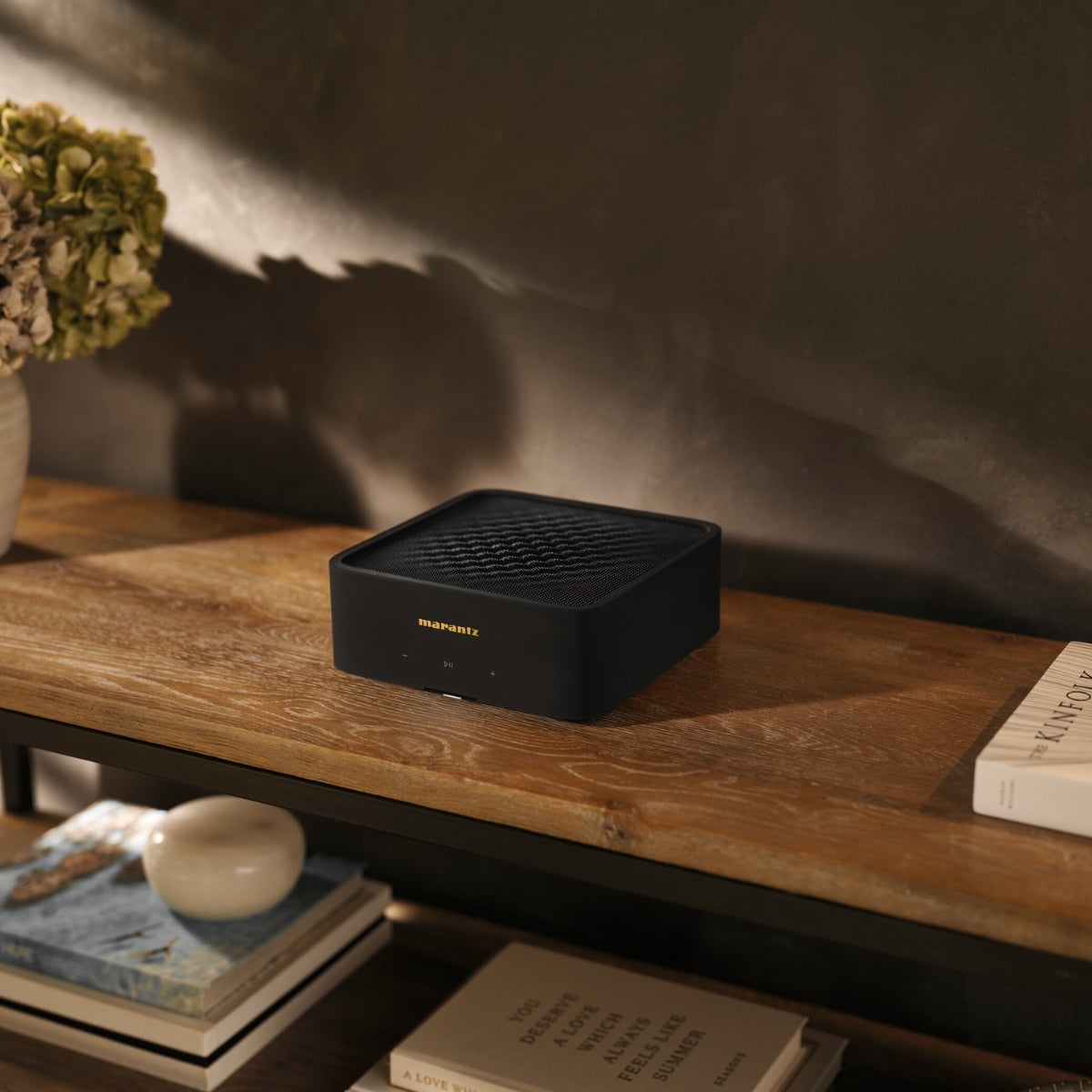 Bowers & Wilkins AM-1 Outdoor Speakers + Marantz M1