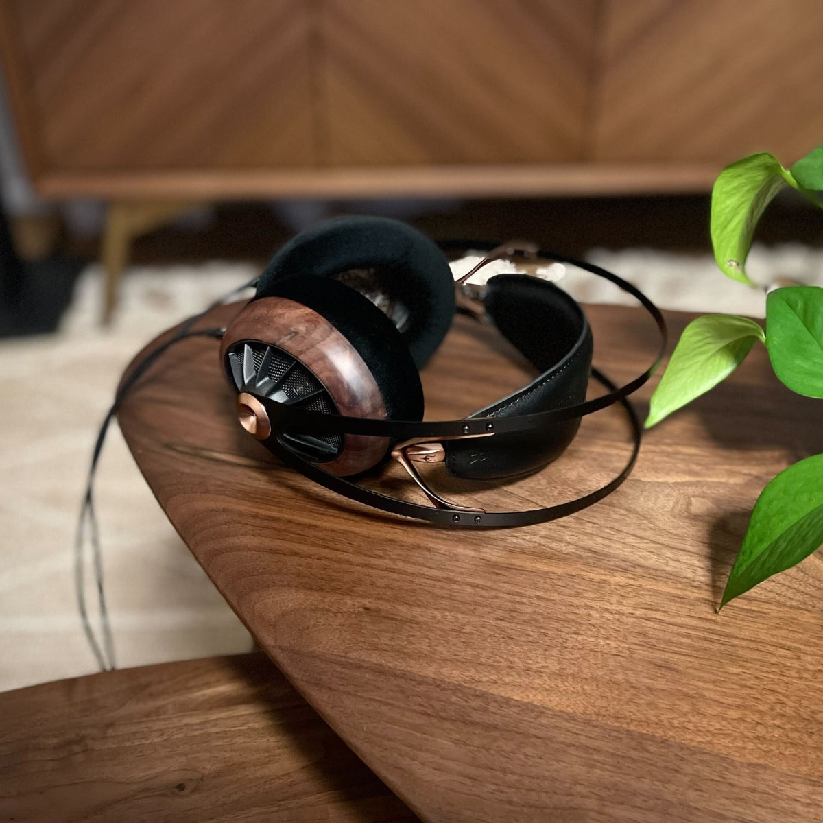 Meze 109 Pro Open-Back Headphones