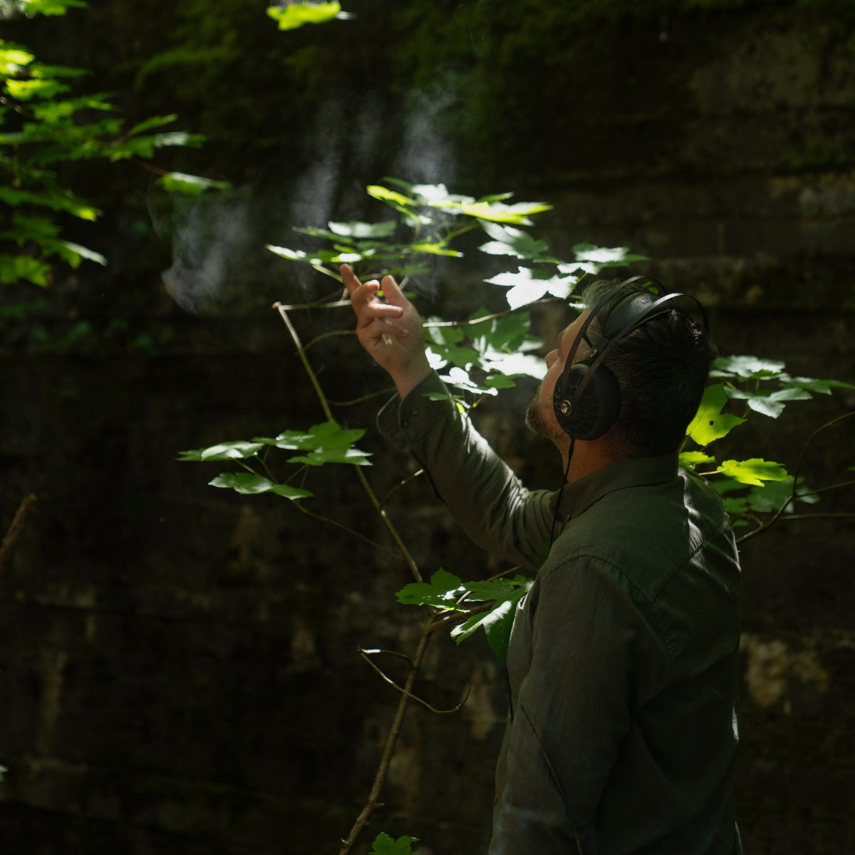 Meze 105 AER Open-Back Headphones