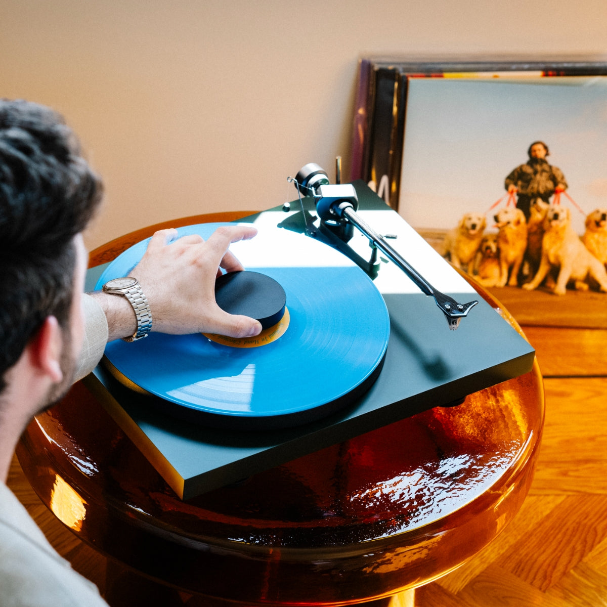 Pro-Ject Debut Evo 2 Turntable #colour_Satin Fir Green