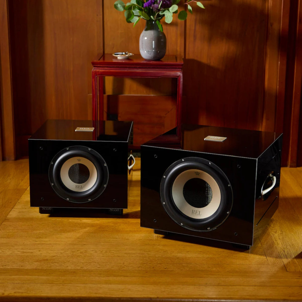 Rel S 850 Subwoofer