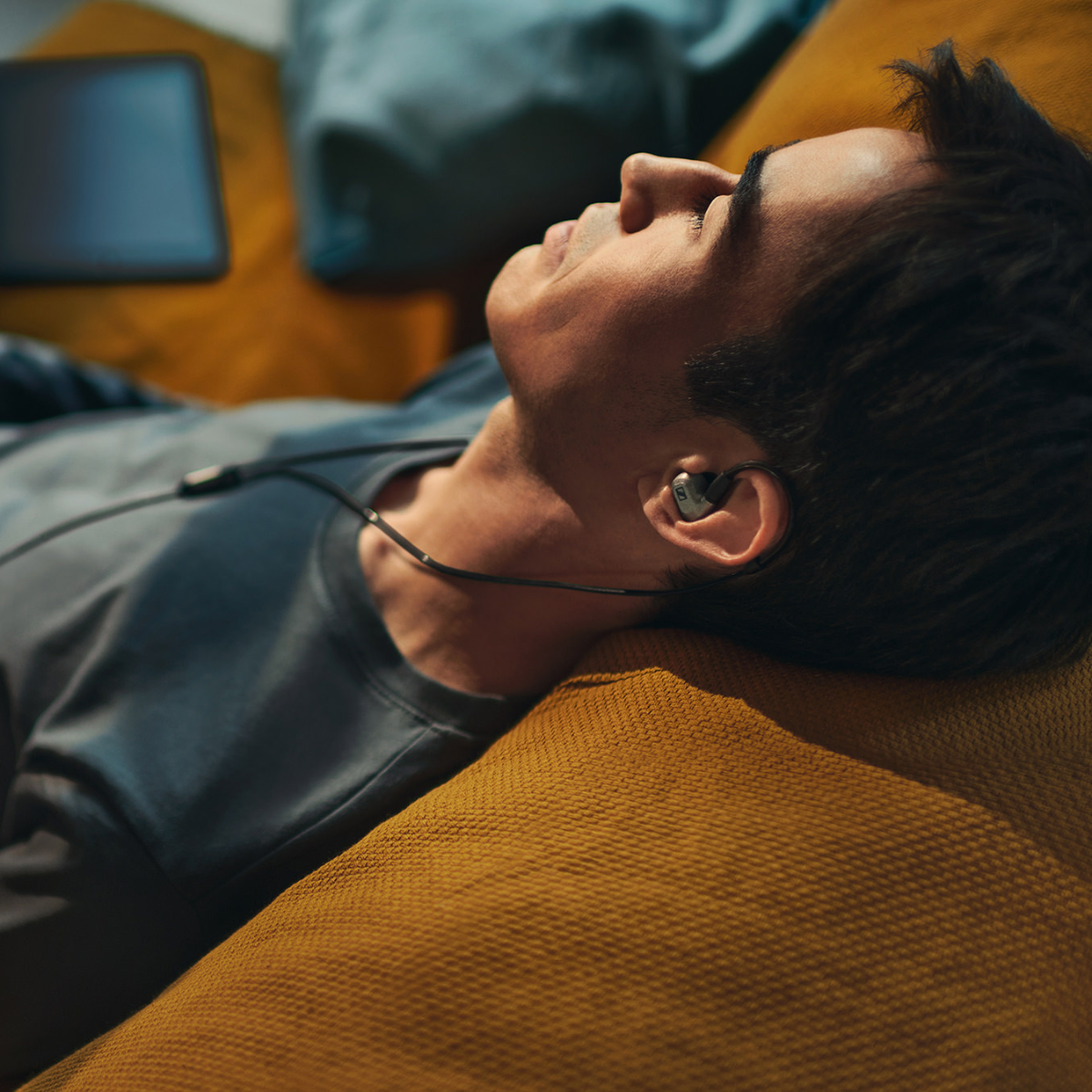 Sennheiser IE 600 In Ear Headphones