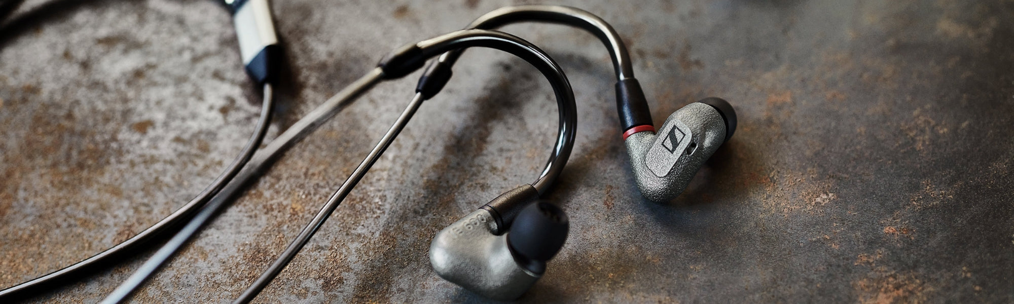 Sennheiser IE 600 In Ear Headphones