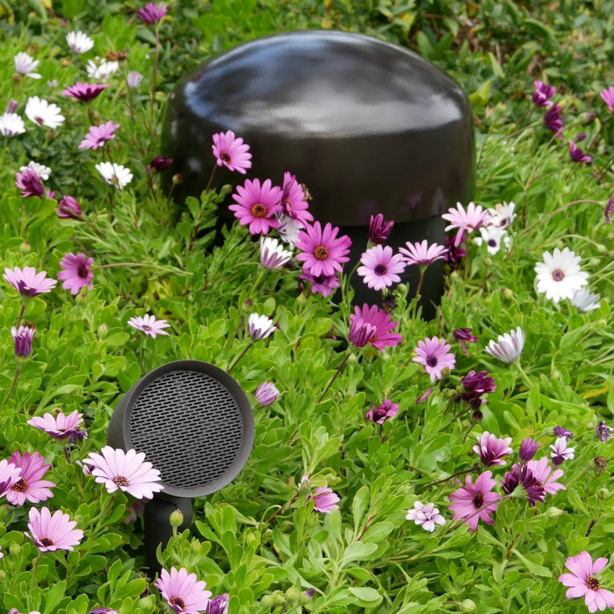 Sonance Garden Series SGS 10" Subwoofer