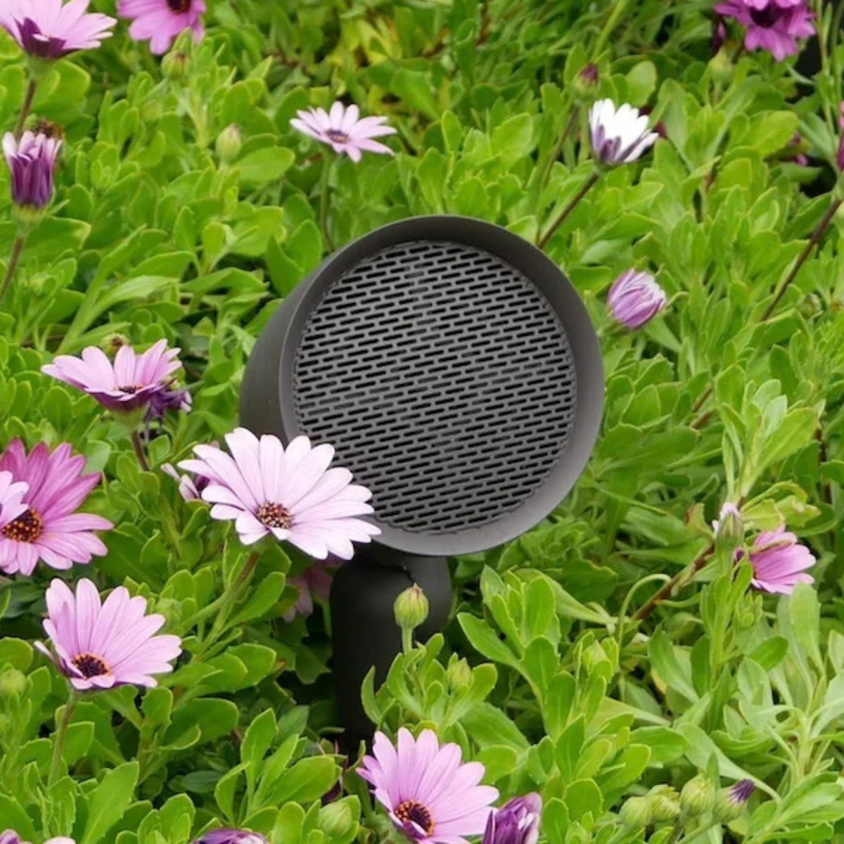 Sonance Garden Series SGS 4 Satellite Speaker Pack