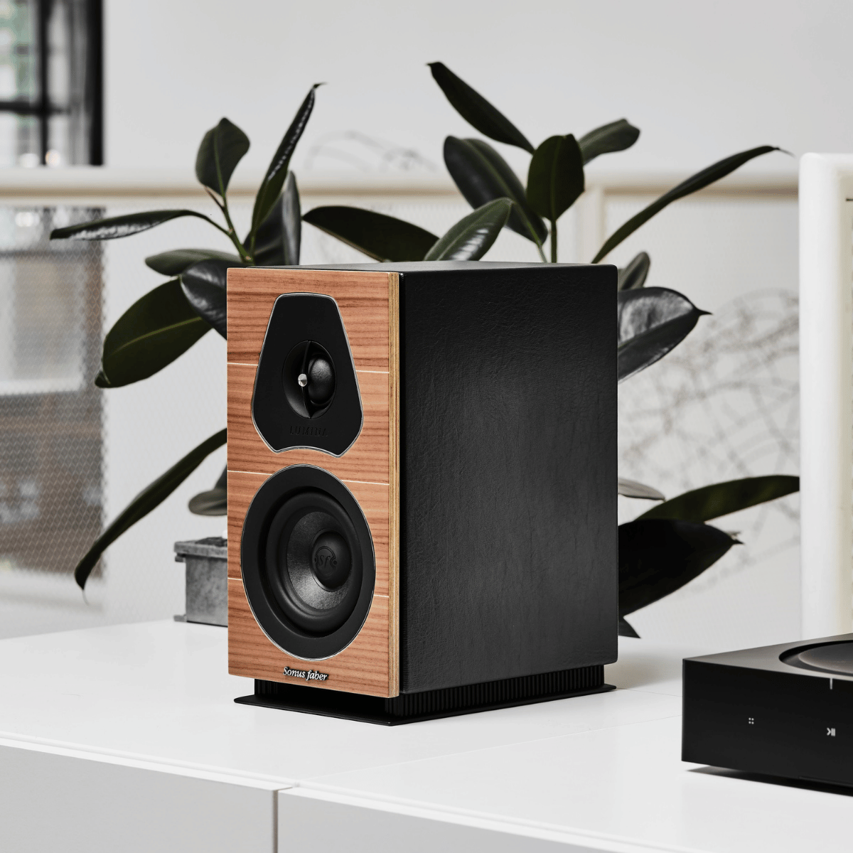 Sonus Faber Lumina II Bookshelf Speakers #colour_walnut