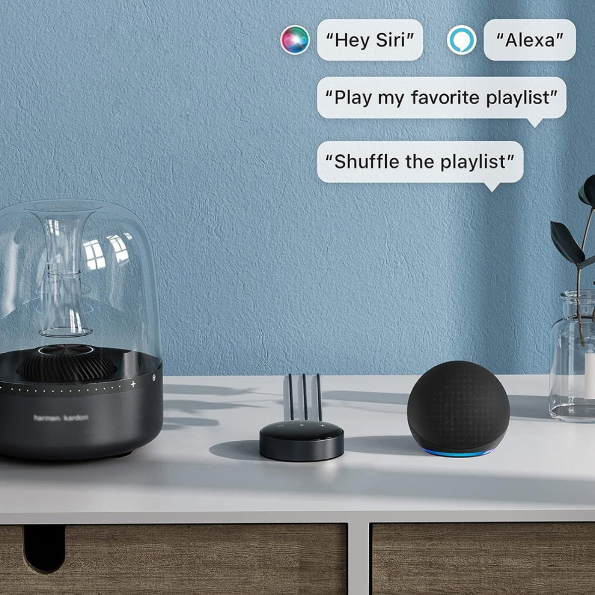 WiiM Mini Wireless Audio Streamer