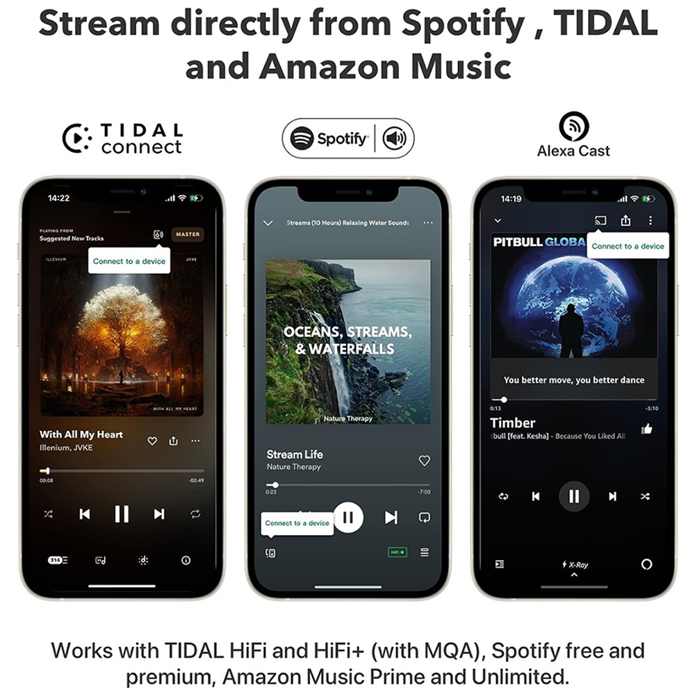 WiiM Mini Wireless Audio Streamer