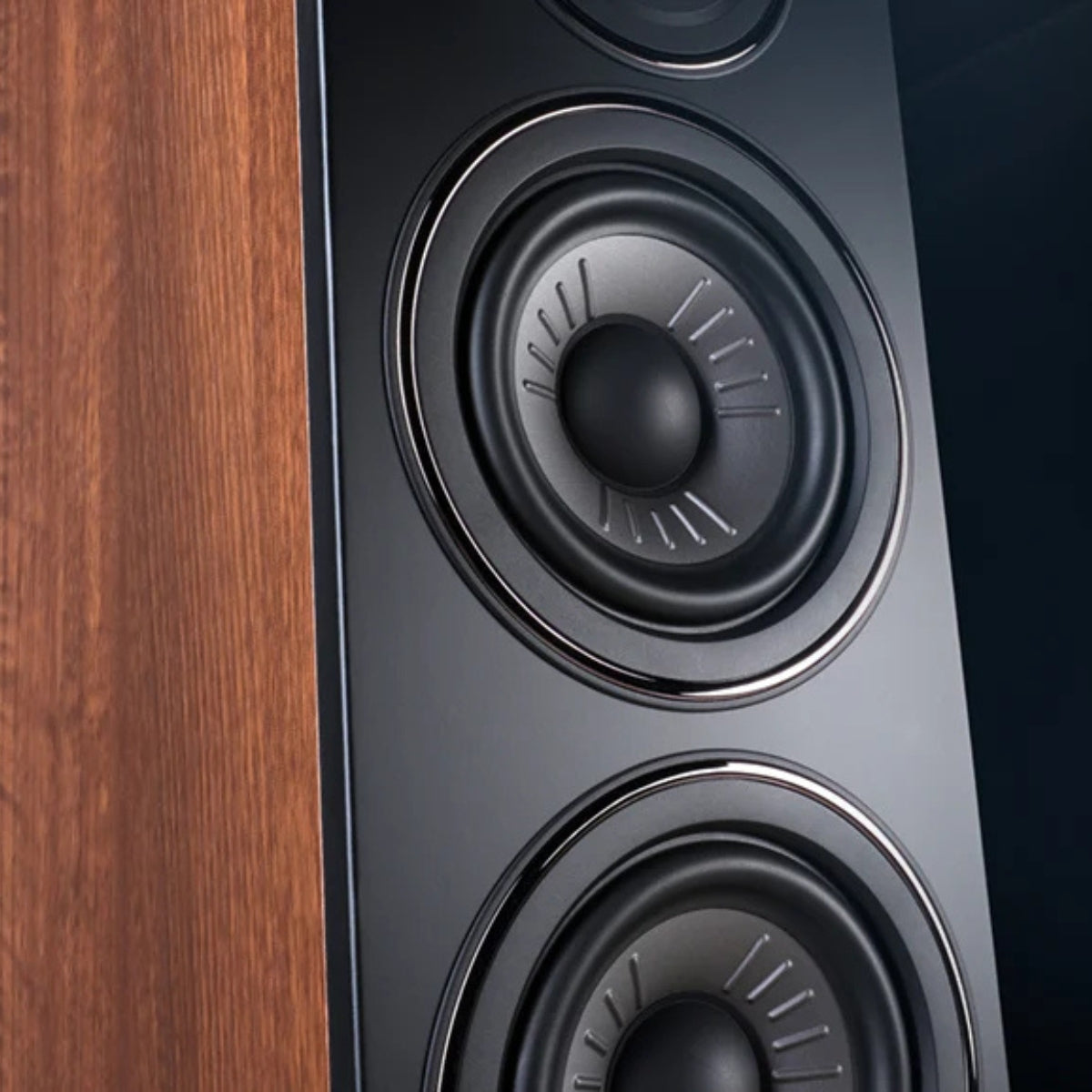 Wharfedale Diamond 12.0i Bookshelf Speaker