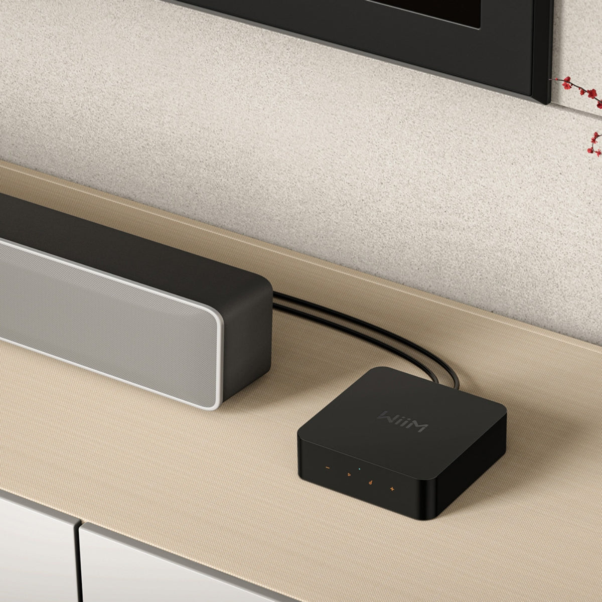 WiiM Pro Plus Wireless Audio Streamer