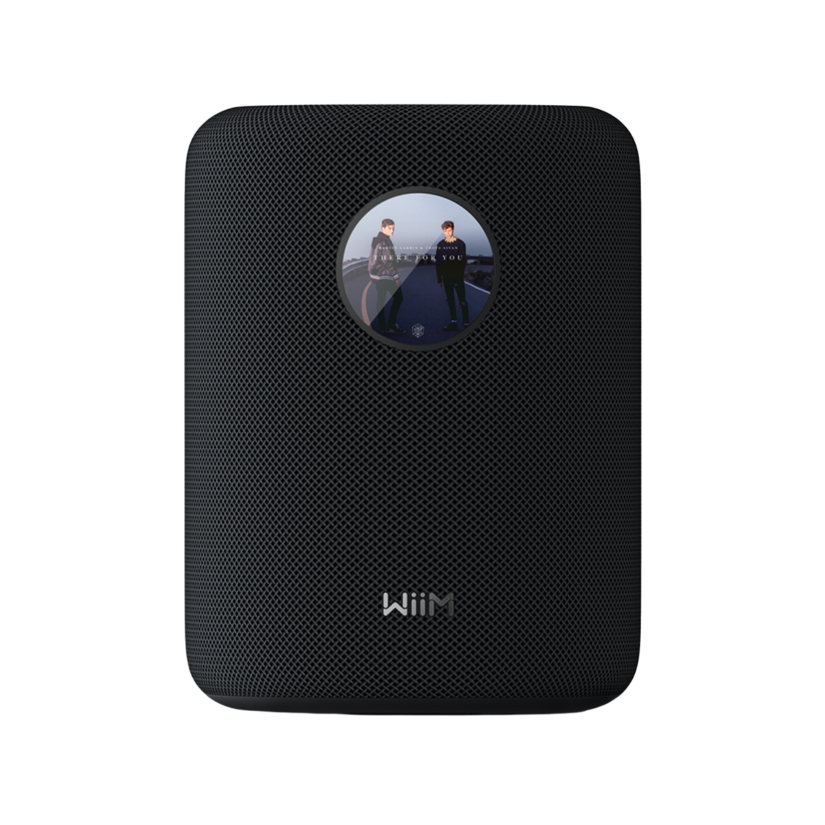 WiiM Sound Smart Speaker Black #colour_black
