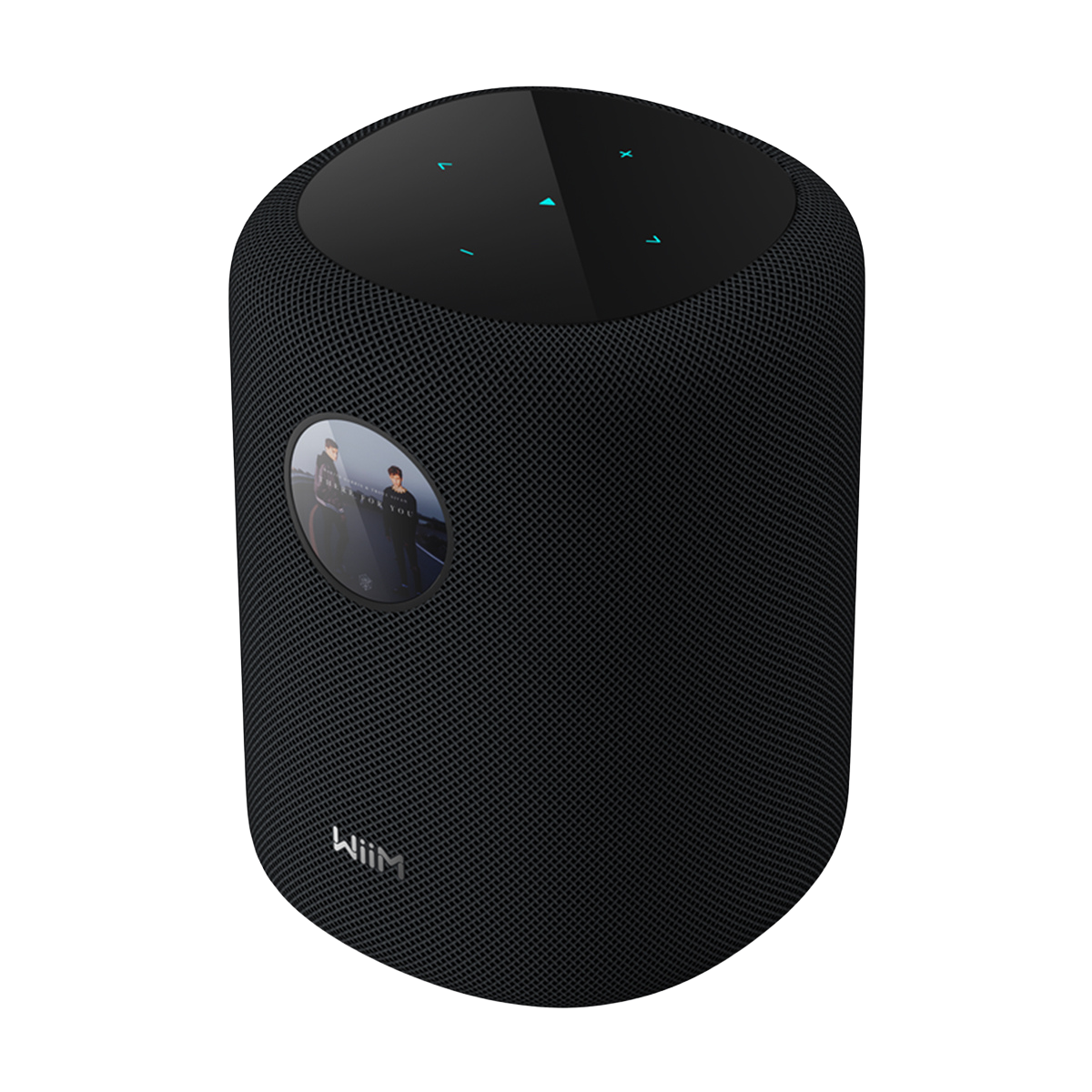 WiiM Sound Smart Speaker Black #colour_black