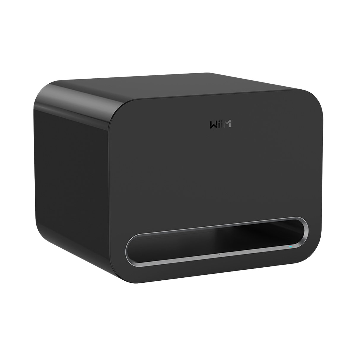 WiiM Sub Pro