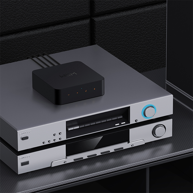 WiiM Pro Wireless Audio Streamer