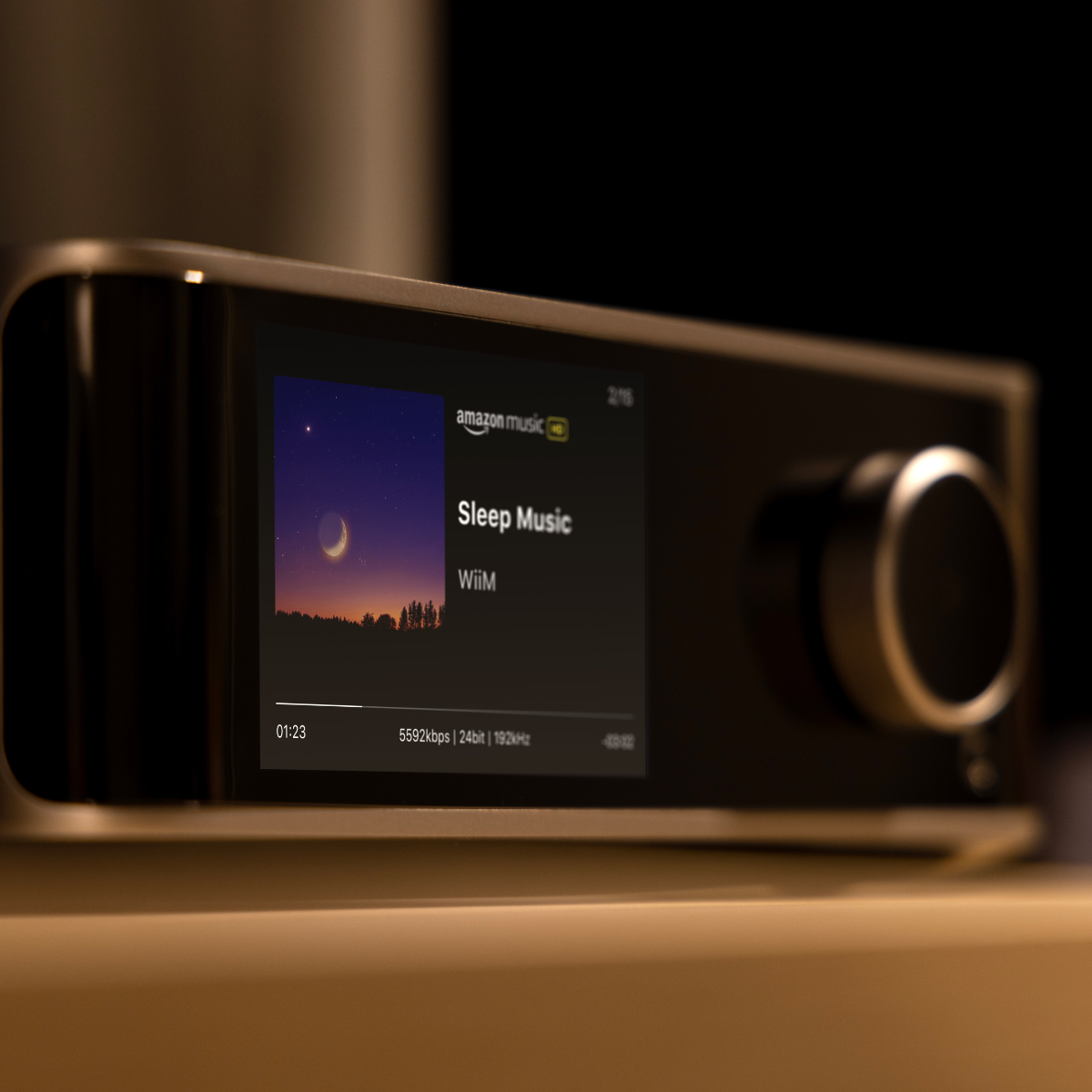 WiiM Ultra Wireless Audio Streamer and Digital Hub #colour_silver