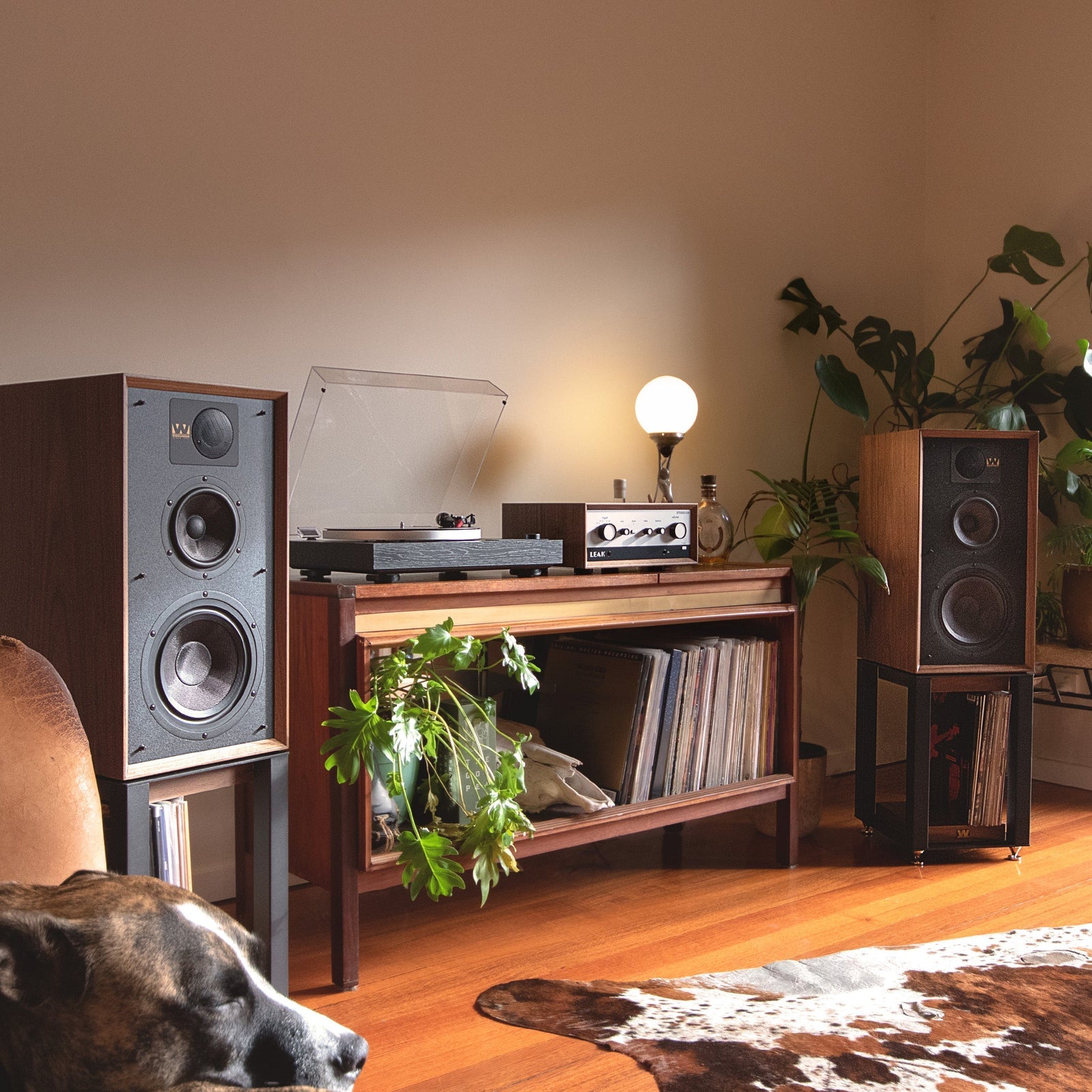 Wharfedale LINTON Heritage Speakers With Dual turntable and Leak stereo in listening room.