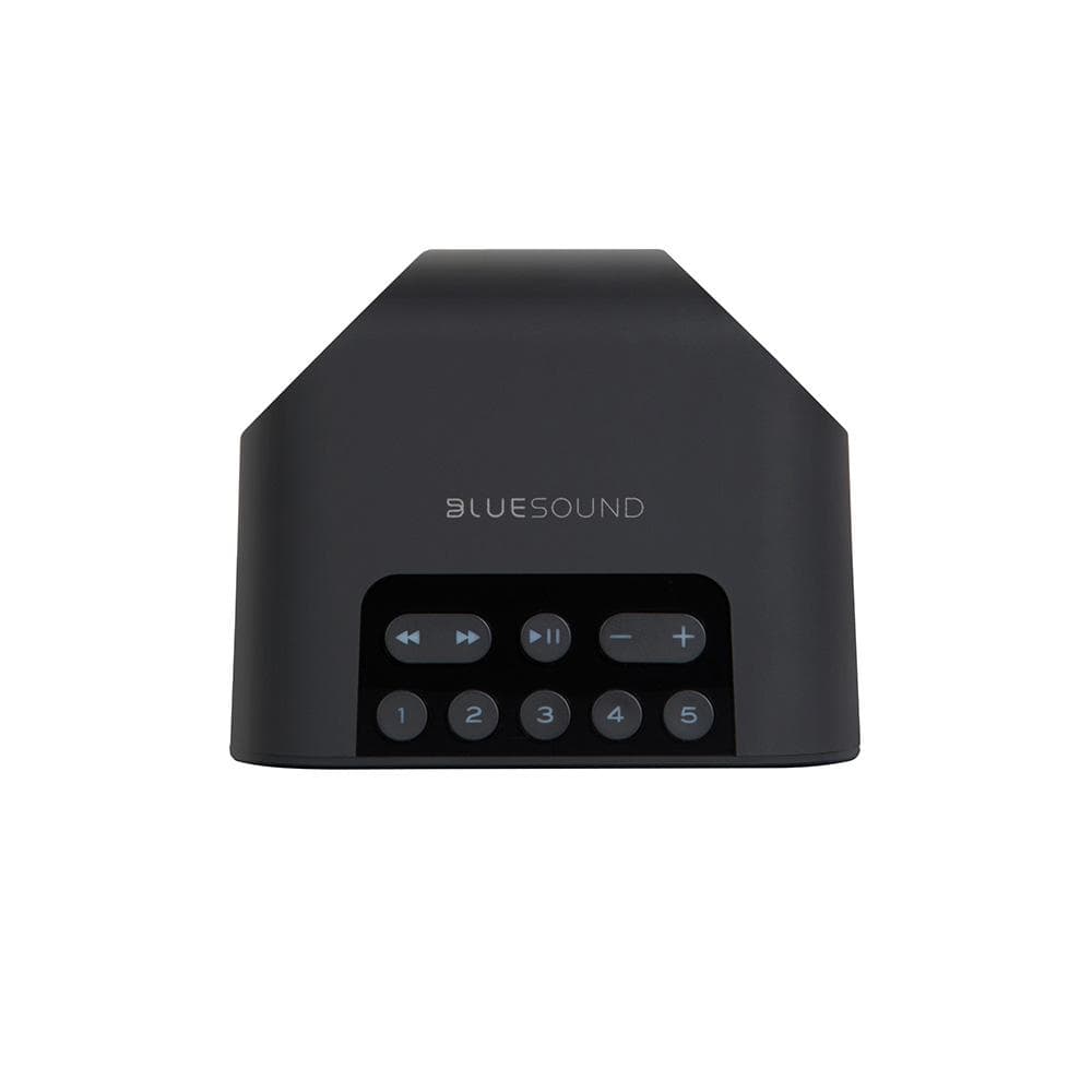 BlueSound PULSE FLEX 2i Wireless Network Speaker with Bluetooth