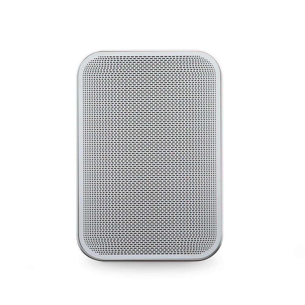 BlueSound PULSE FLEX 2i Wireless Network Speaker with Bluetooth