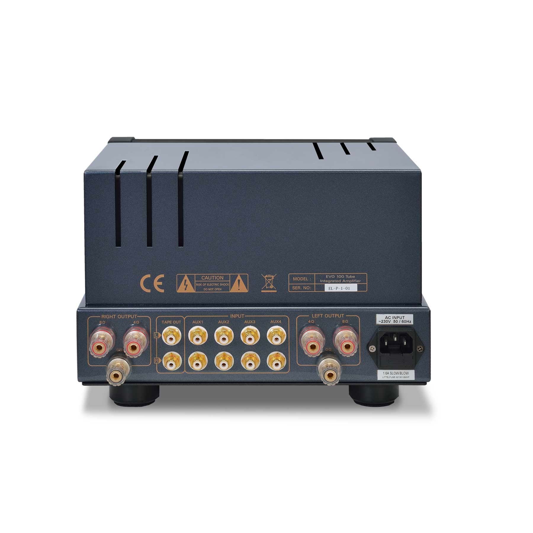 PrimaLuna EVO 100 Integrated Amplifier