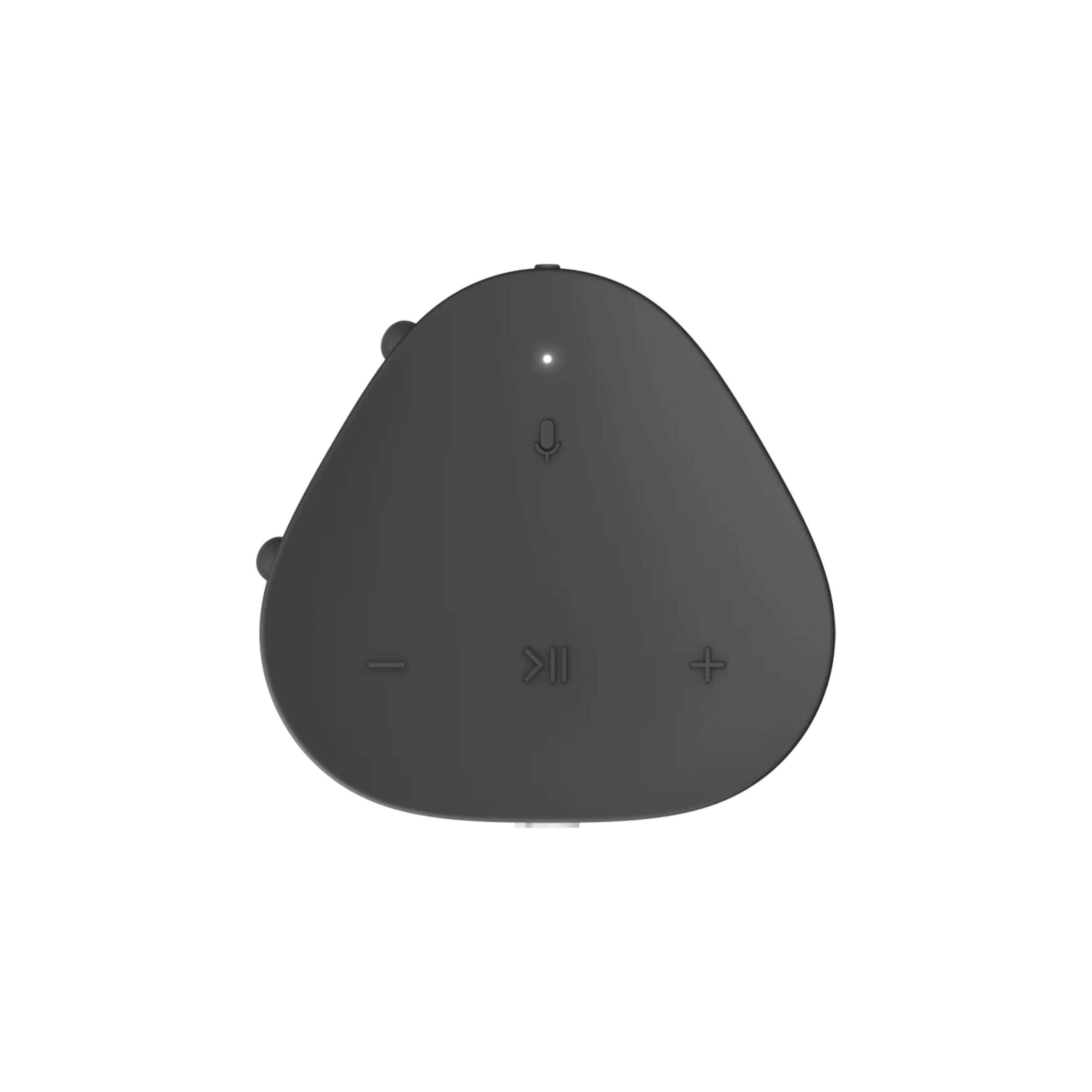 SONOS Roam | Battery Powered Wifi + Bluetooth Speaker
