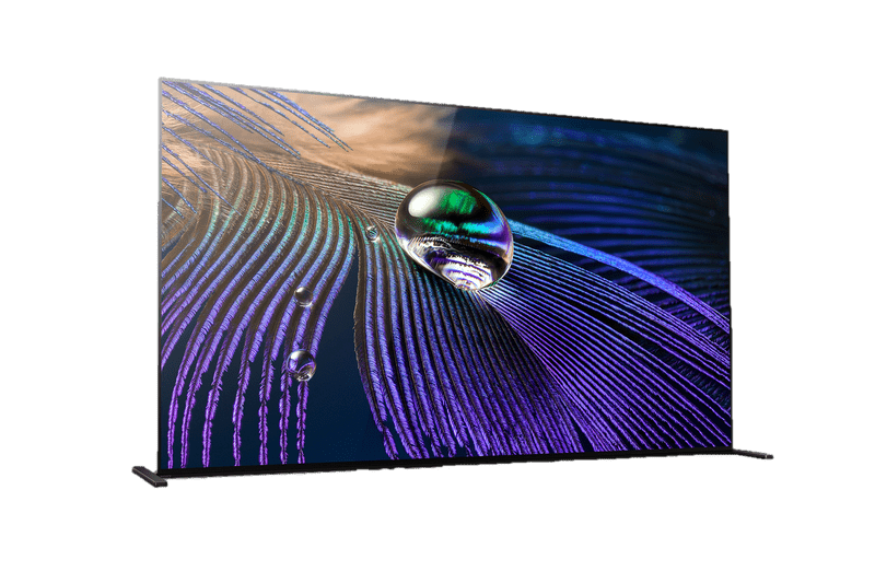 Sony 65" FWD65A90J 4K HDR OLED Display Panel