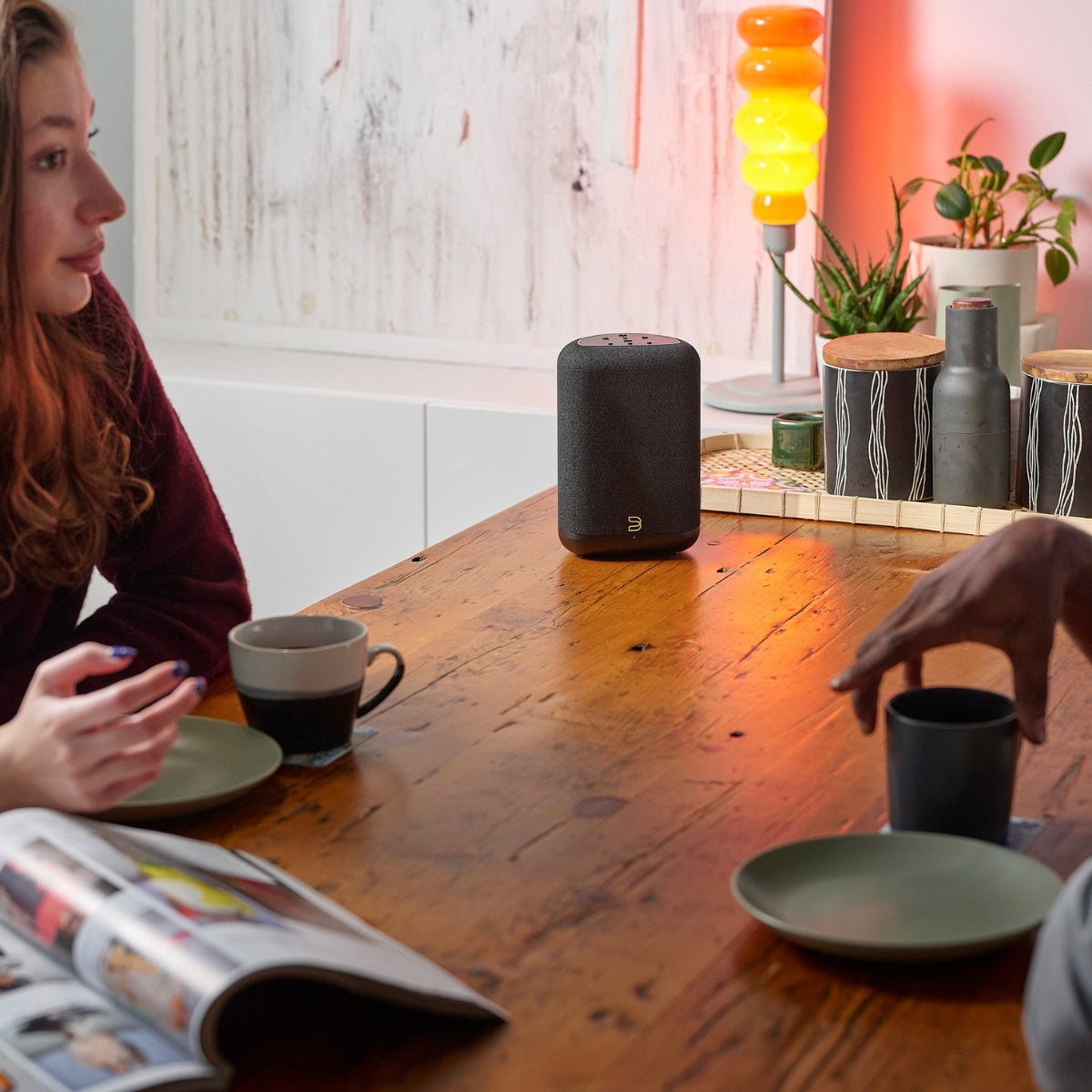 Bluesound Pulse Flex Wireless All-In-One Music Streaming Speaker