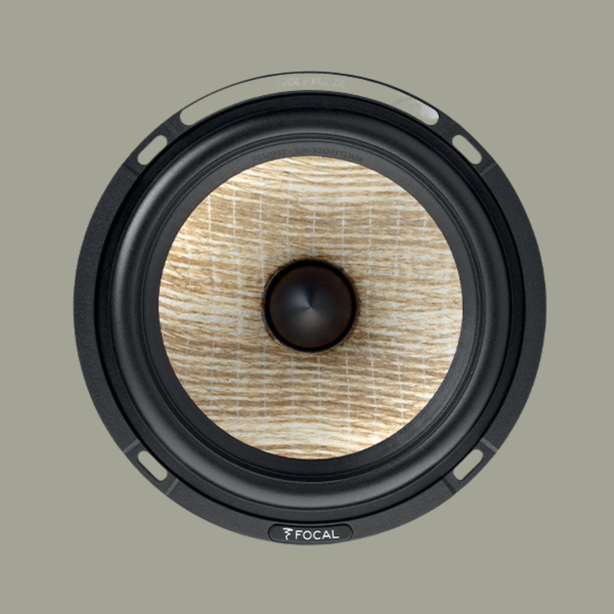 Focal Evo X Nº 1 Bookshelf Speakers