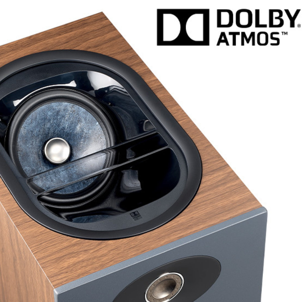 Focal Theva Nº 3-D Bookshelf Speaker