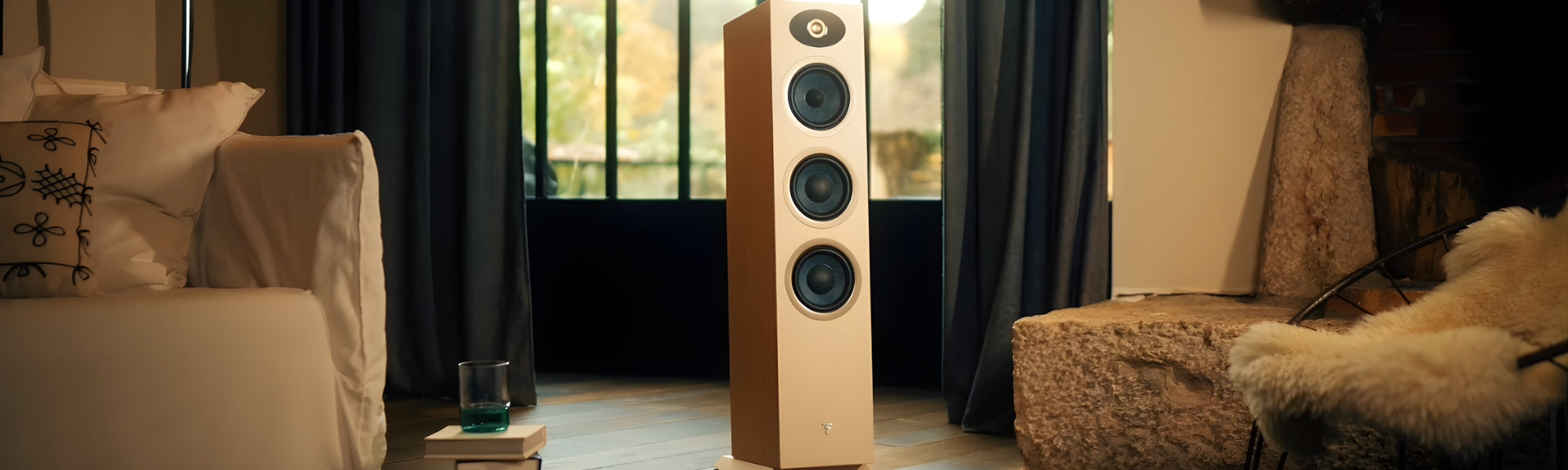 Focal Theva Nº 3-D Bookshelf Speaker