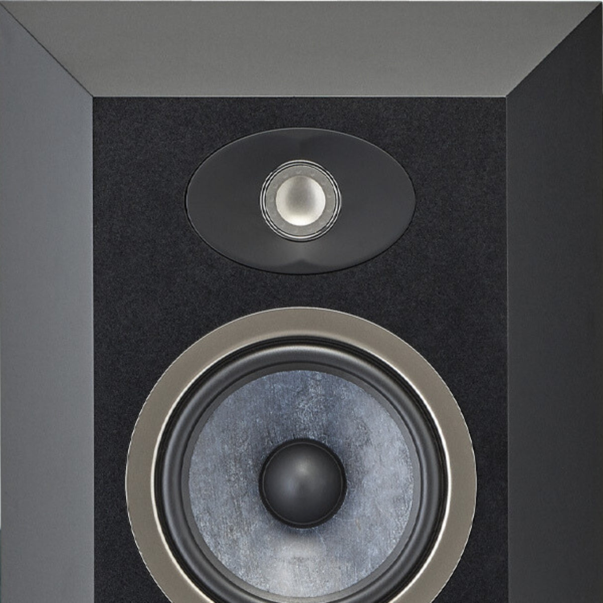 Focal Theva Surround Speaker