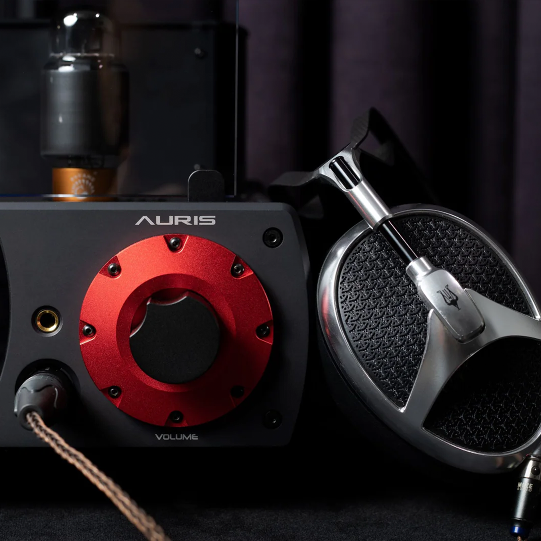 Auris Nirvana VI High-End Desktop Headphone Amplifier