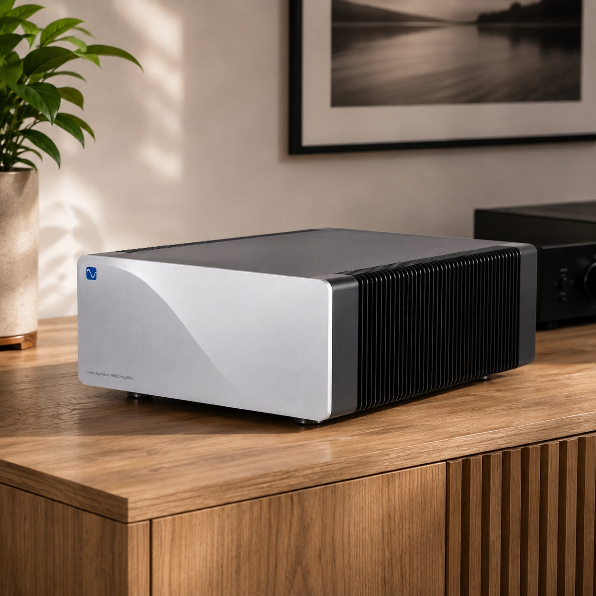PMG M800 Monoblock Signature Power Amplifier