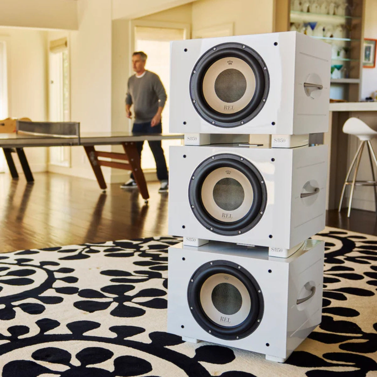 Rel S 850 Subwoofer