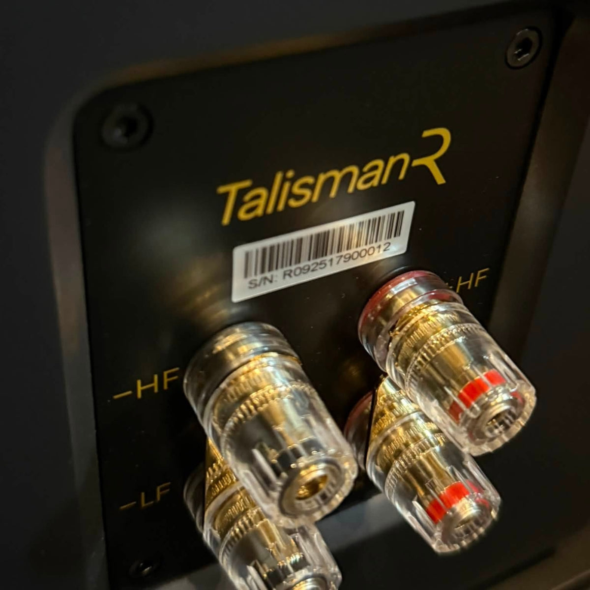 Ruark Talisman-R Floorstanding Speakers