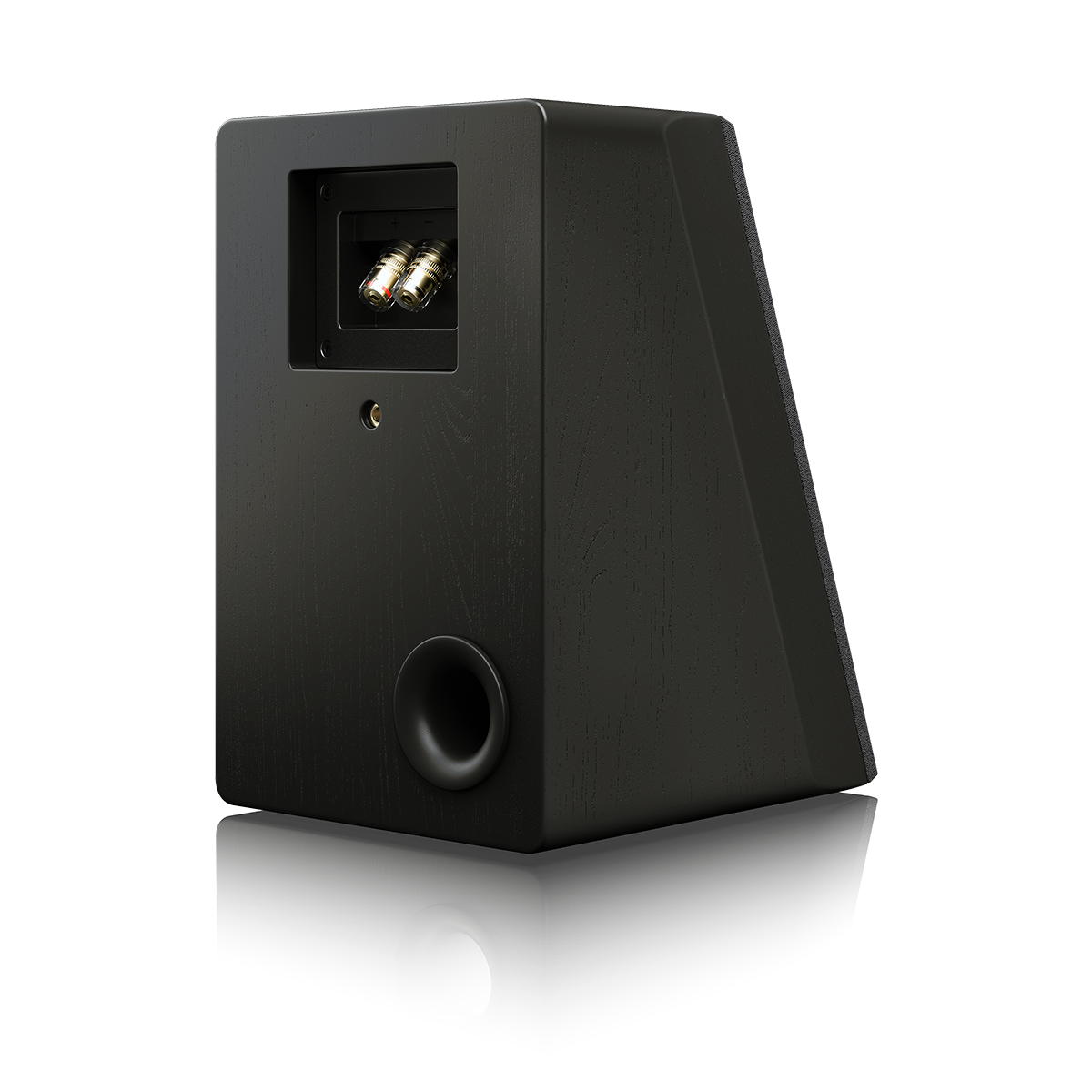 #colour_Black Oak