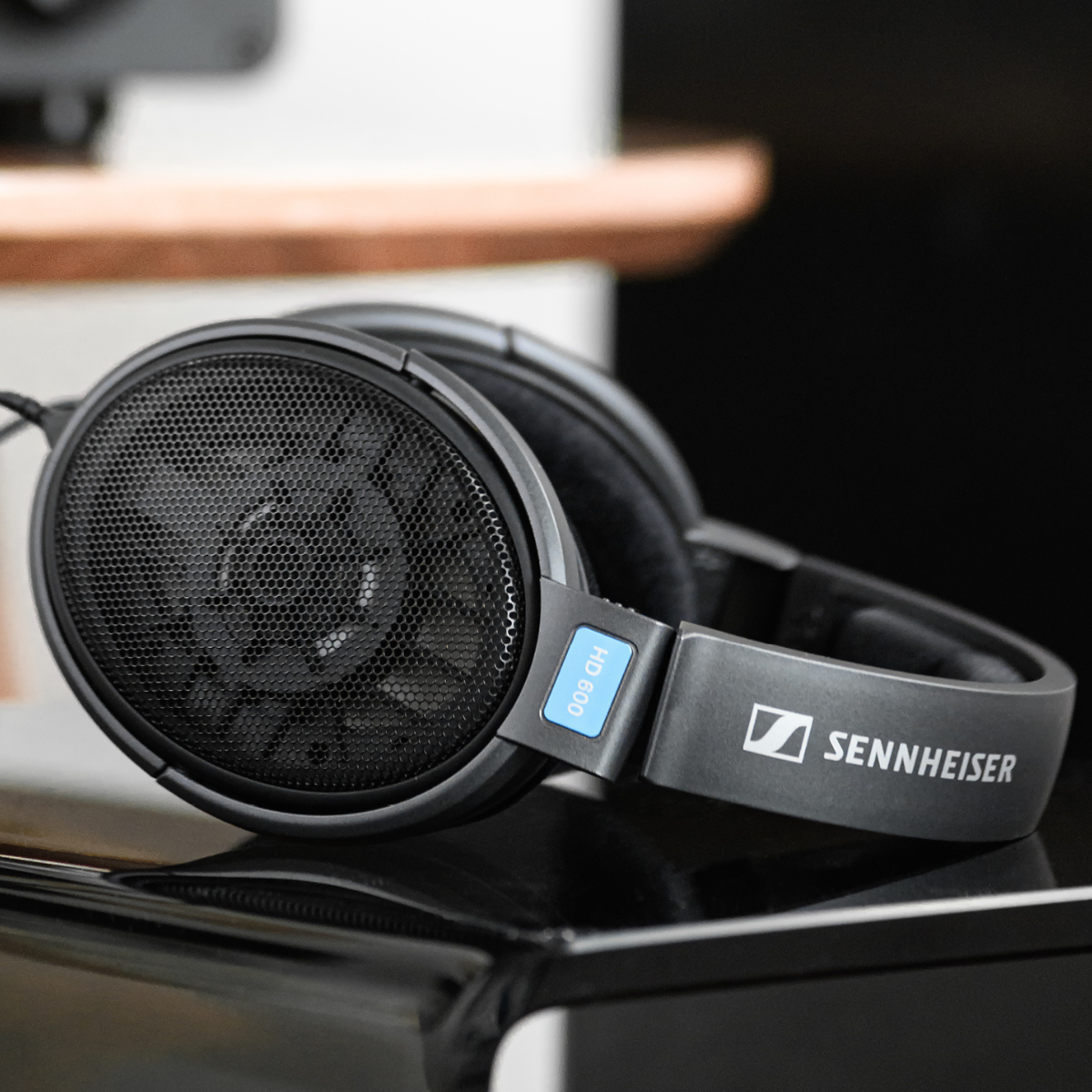 Sennheiser HD 600 Open Back Headphones