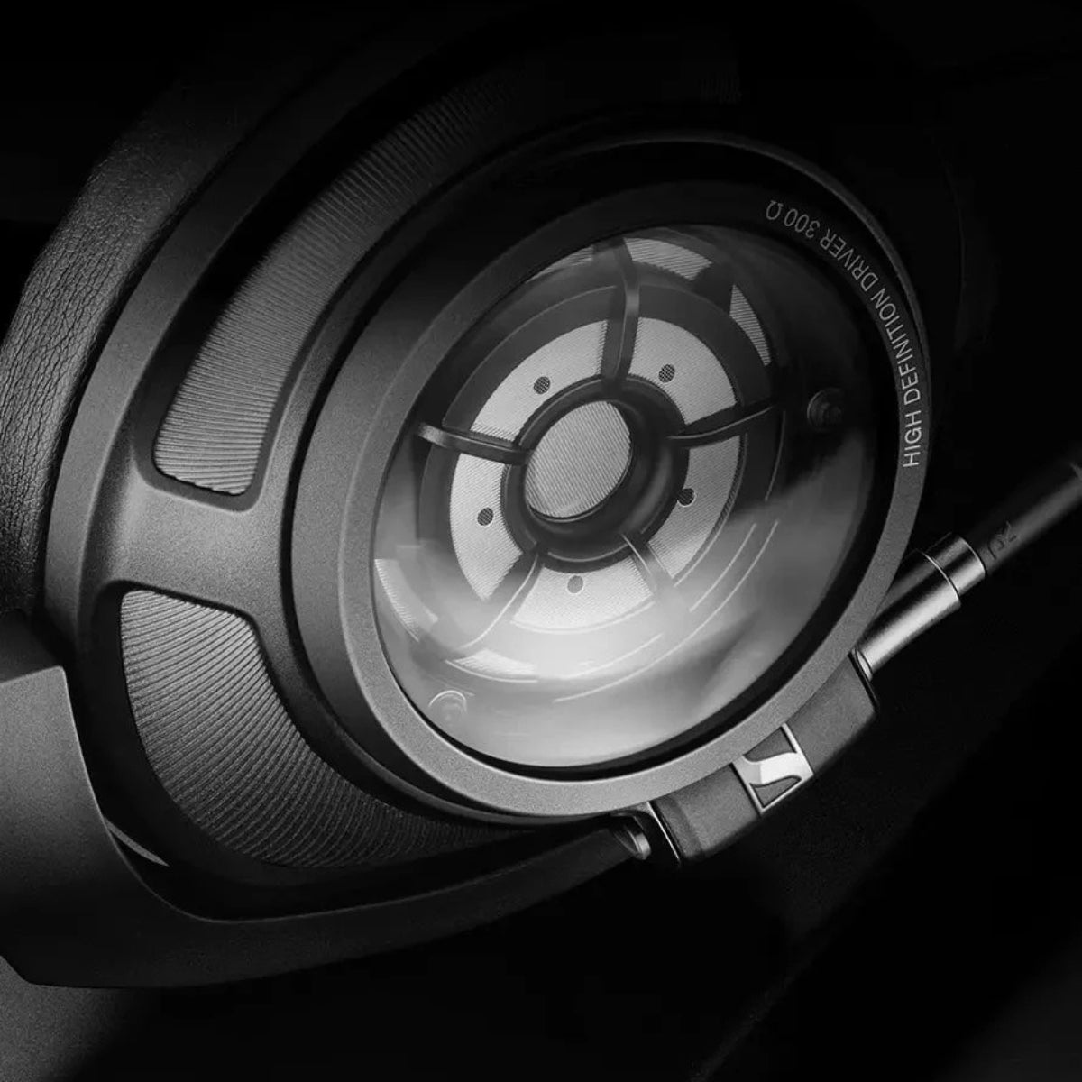 Sennheiser HD 820 Closed Back Over Ear Wired Audiophile Headphones