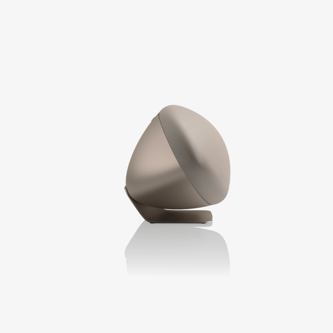 Bowers & Wilkins Zeppelin Pro Wireless Speaker | Bowers and Wilkins