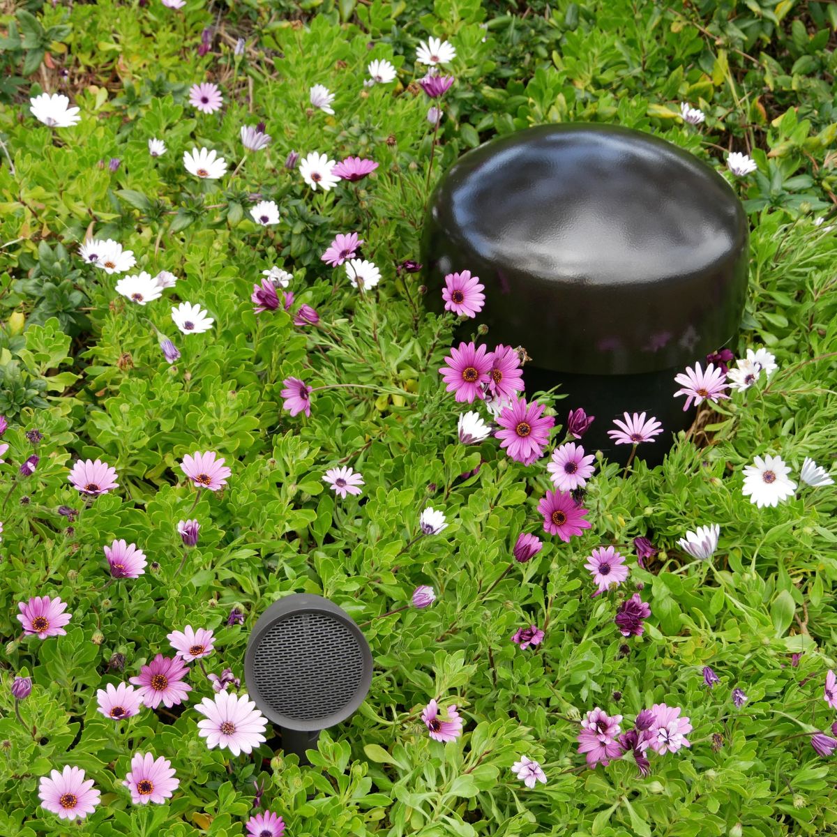 Sonance Garden Series SGS 8.1 System
