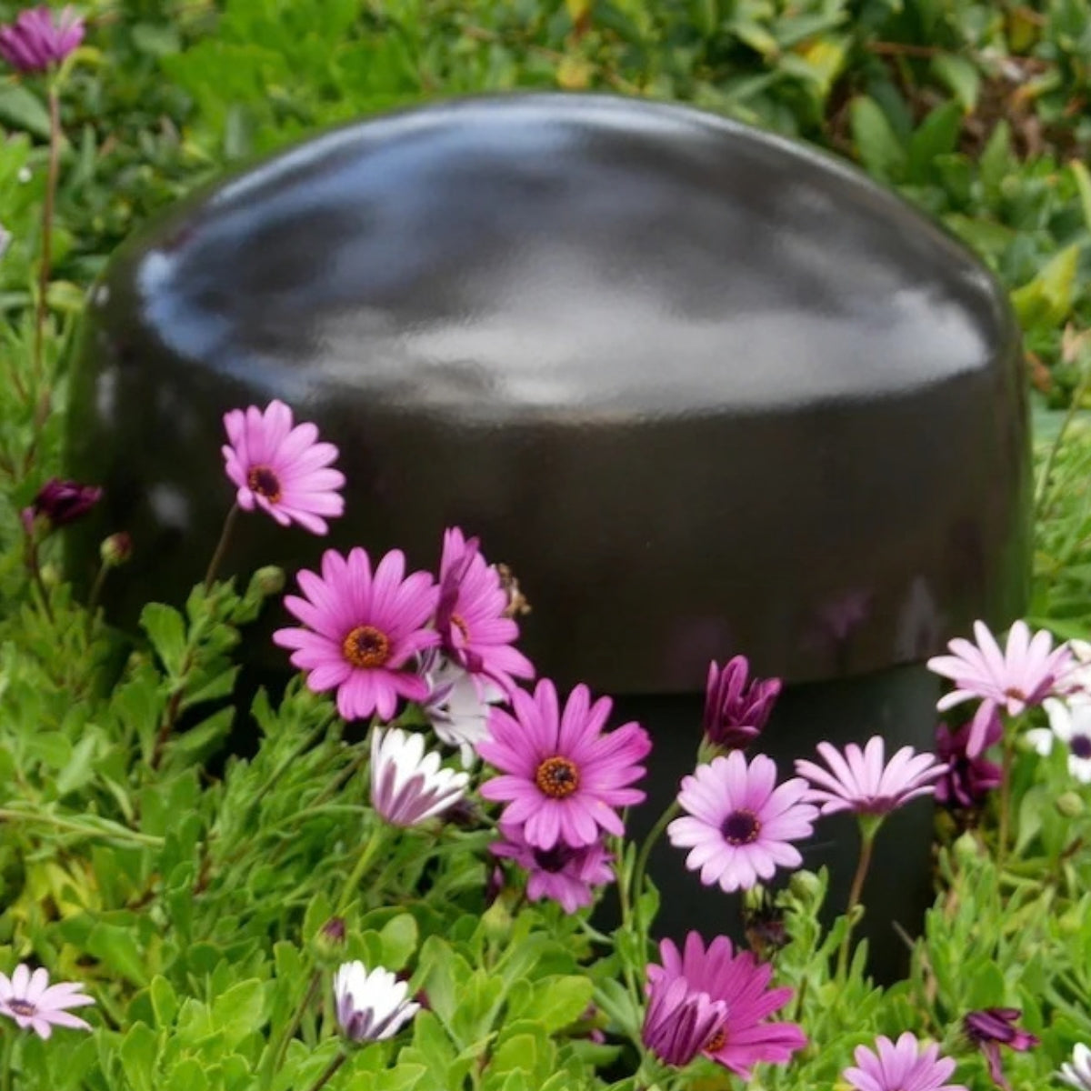 Sonance Garden Series SGS 10" Subwoofer