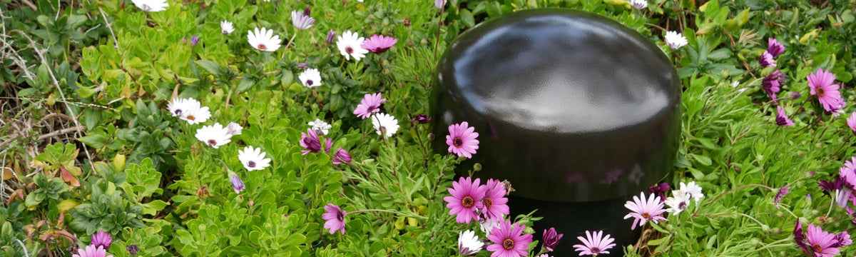 Sonance Garden Series SGS 8.1 Pack inc DSP-2-150 MKIII Amplifier | Sonance